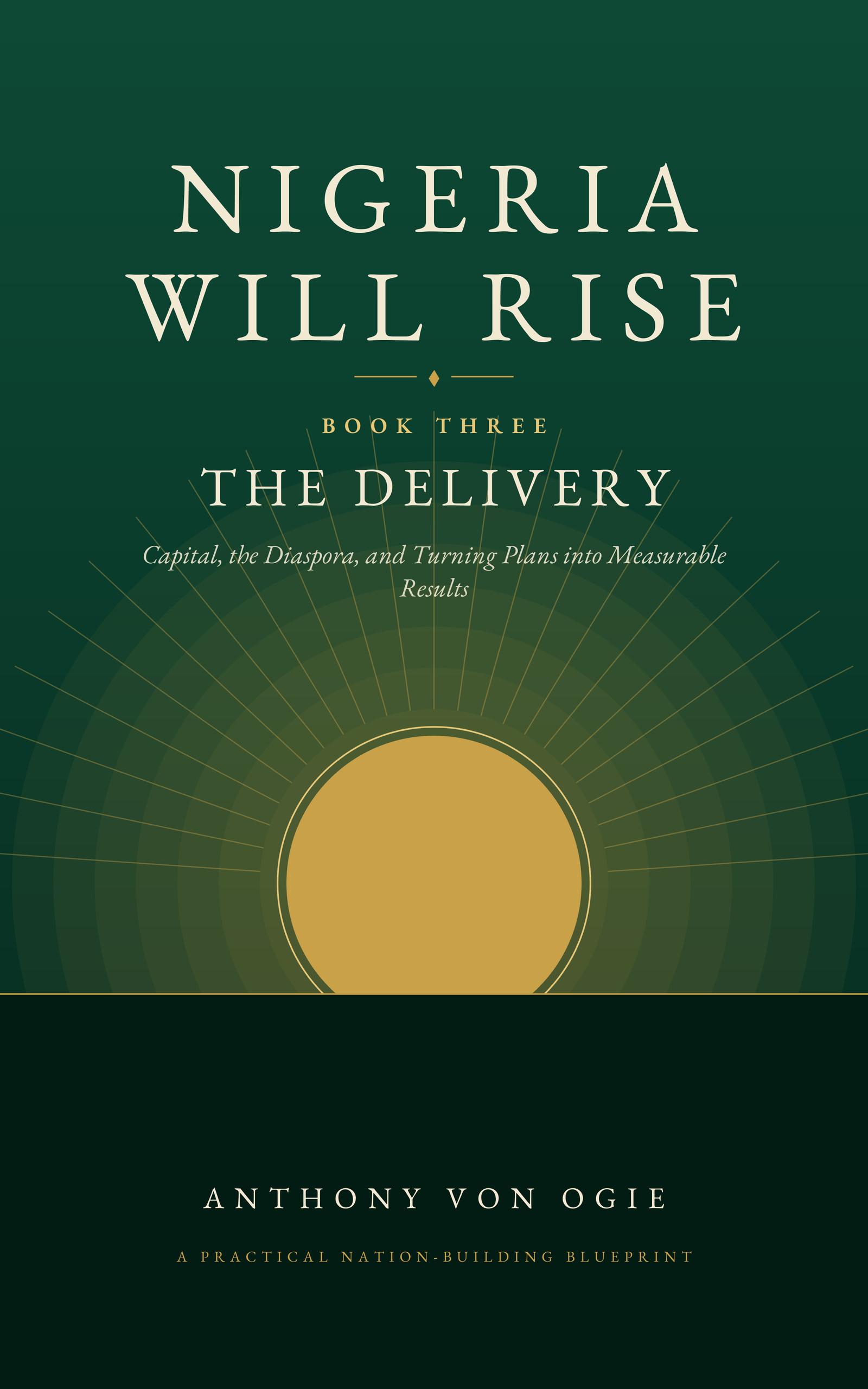 Nigeria Will Rise — Book Three: The Delivery book cover